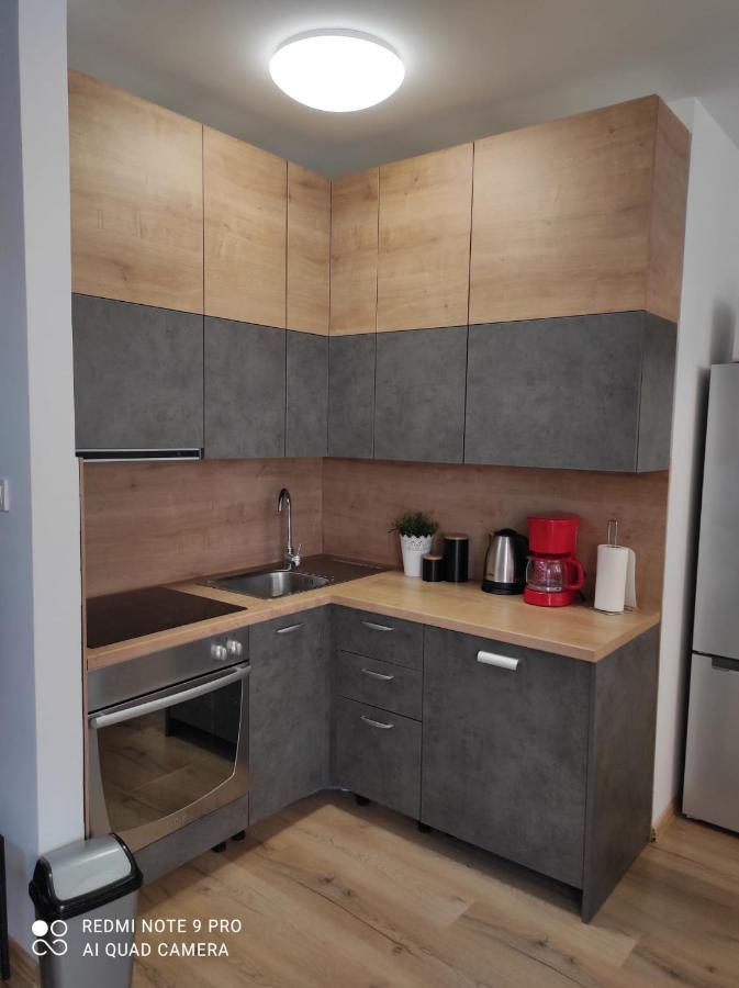 Apartman Branimir 诺瓦利娅 外观 照片